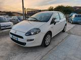 Fiat Punto 1.2 8V 5 porte Lounge - gebrauchte Fiat Punto aus dem Jahr 2012