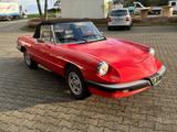 Alfa Romeo Spider rot