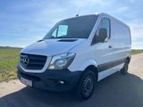 Mercedes-Benz Sprinter 214 cdi Euro 6 Klima TÜV &Service neu ! - Mercedes-Benz T 2