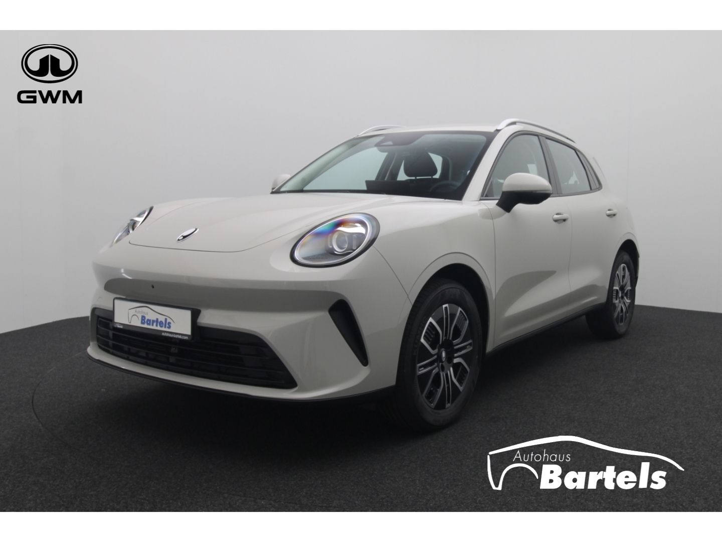 Fahrzeugabbildung GWM ORA 5 Hybrid Premium 360 Kamera ACC SHZ