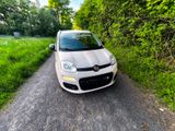 Fiat New Panda 1.2 8V - - Fiat New Panda von privat