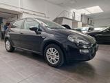 Fiat Punto 1.2 8V Lounge Klima, PDC Alu TÜ... - Fiat Punto: Lounge