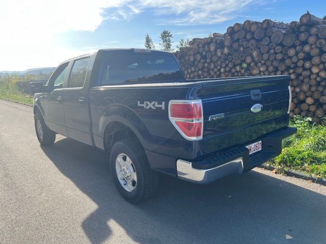 Ford US PICK UP - F 150 CREW CAB 4X4 - 5.0 V8 1. HAND