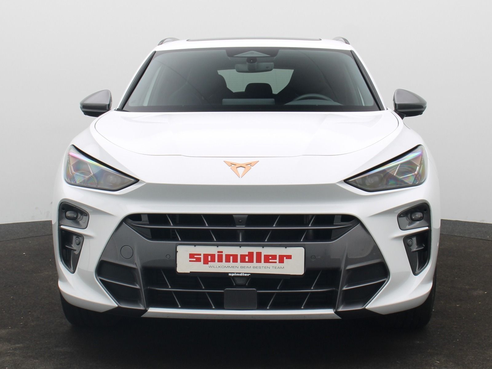 Cupra Terramar - Bild 3