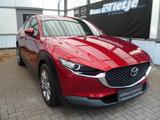 Mazda CX-30 SKYACTIV-G 2.0 150PS M Hybrid Selection 2W - Mazda CX-30 Gebrauchtwagen in Hamburg
