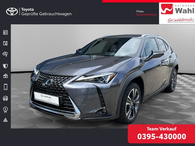 Lexus UX 250h Style Edition PDC SHZ KAMERA ACC LED