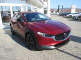 Mazda CX-30 2.5L e-SKYACTIV G 140 6MT FWD Homura - gebrauchte Mazda SUV & Geländewagen