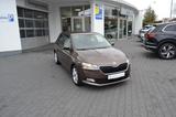 Skoda Fabia "ACTIVE" 1.0 TSI 95 PS ab 4,99% Finz! - Skoda Fabia: 1.9