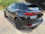Cupra Formentor VZ Tribe|310PS|Vollausstat.|PANO|BEATS - Cupra Formentor: Alcantara, Panorama-Dach