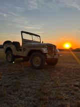 Jeep Willys Jeep M38A1, Sahara, HU+H neu - Jeep: M38a1