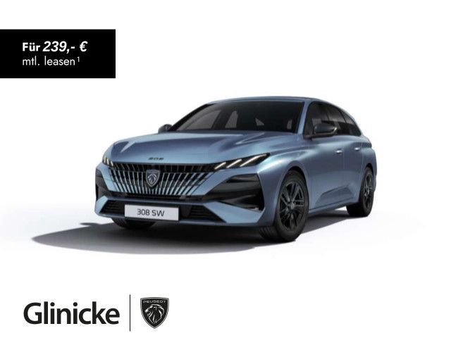 308 SW STYLE HYBRID 145 e-DSC6