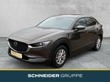 Mazda CX-30 SELECTION 2.0 SKYACTIV M HYBRID SHZ+360° - gebrauchte Mazda CX-30 aus dem Jahr 2020