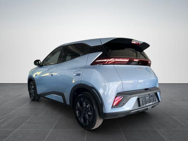 BYD DOLPHIN SURF