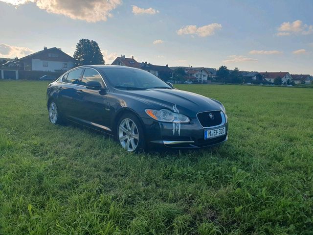 Jaguar XF 3.0 Diesel