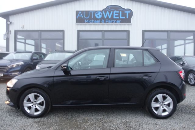 Skoda Fabia Ambition 1.0 95 PS KLIMA BLUET PDC InspNEU