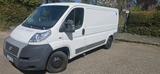 Fiat Dukato Tüv2028 - Fiat Ducato in Kiel