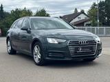 Audi A4 3.0 TDI Avant quattro sport *LED*Mem*Virtual* - Audi A4: Grün, mit Navigationssystem