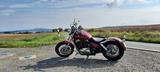 Honda VT1100 C2 Shadow Custom - HONDA SHADOW CUSTOM