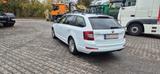 Skoda Octavia 2.0 TDI | 8-fach bereift - gebrauchte Skoda Octavia aus dem Jahr 2017