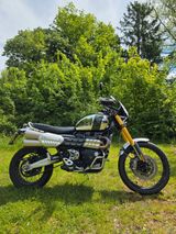 Triumph Scrambler XE Chrom Edition wie NEU - TRIUMPH BONN