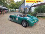 Triumph Andere Sammio ( Lancia D24 ) - Triumph Oldtimer