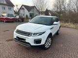 Andere Range Rover Evoque Erstbesitz Uniallfrei P... - Andere in Frankfurt (Main)