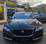 Jaguar XF 3.0d Portfolio*360°HUD*PANO*Virtual*Beige*DAB - Jaguar aus 2017