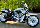 Harley-Davidson V-ROD Custom - HARLEY-DAVIDSON 2006