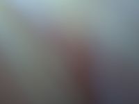 Audi Q2 - Vorschau Bild 16