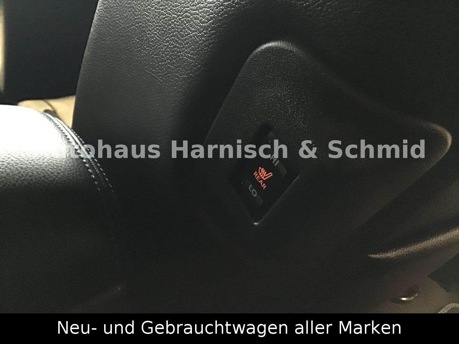 Fahrzeugabbildung Nissan Leaf 40 kWh Anhängerkuppl. - Tekna - Leder, BOSE