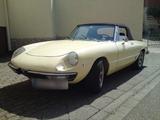 Alfa Romeo 2000 Fastback Spider Coda Tronca - gebrauchte Alfa Romeo Spider aus dem Jahr 1980