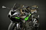 Kawasaki ZX6R 636 2026 RSI-Edition HP135 RSI Demo Bike - KAWASAKI ZX636