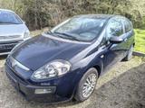 Fiat Punto EVO 1.2 8V Active + Klima wenig Kilometer - Fiat Punto Active mit Benzin-Antrieb
