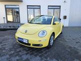 Volkswagen New Beetle 1.9 TDI United Sport AUS 1.HAND - Volkswagen New Beetle: United