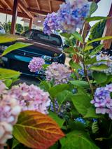 Nissan Skyline R33 GTST RB25DET - Nissan aus 1994