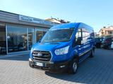 Ford Transit 310 L3H2 Trend 2.0 Tdci 130cavalli  - Ford Diesel Kastenwagen Transit trend 310 l3 h2