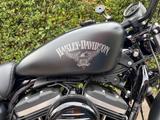 Harley-Davidson XL 883 Iron - Offers