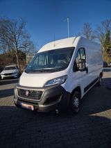 Fiat Ducato Hochr.-Kasten 35 160 L2H2 RS: 3450 mm - Fiat Ducato: L1h2