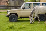 Toyota Land Cruiser 4.2 TD Station Wagon - - gebrauchte Toyota Land Cruiser aus dem Jahr 1995