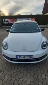 Volkswagen Beetle 1.4 TSI BMT CUP CUP - Volkswagen Beetle: Cup