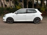Skoda Fabia Ambition Sport Green tec mit P... - Skoda Fabia: Sport