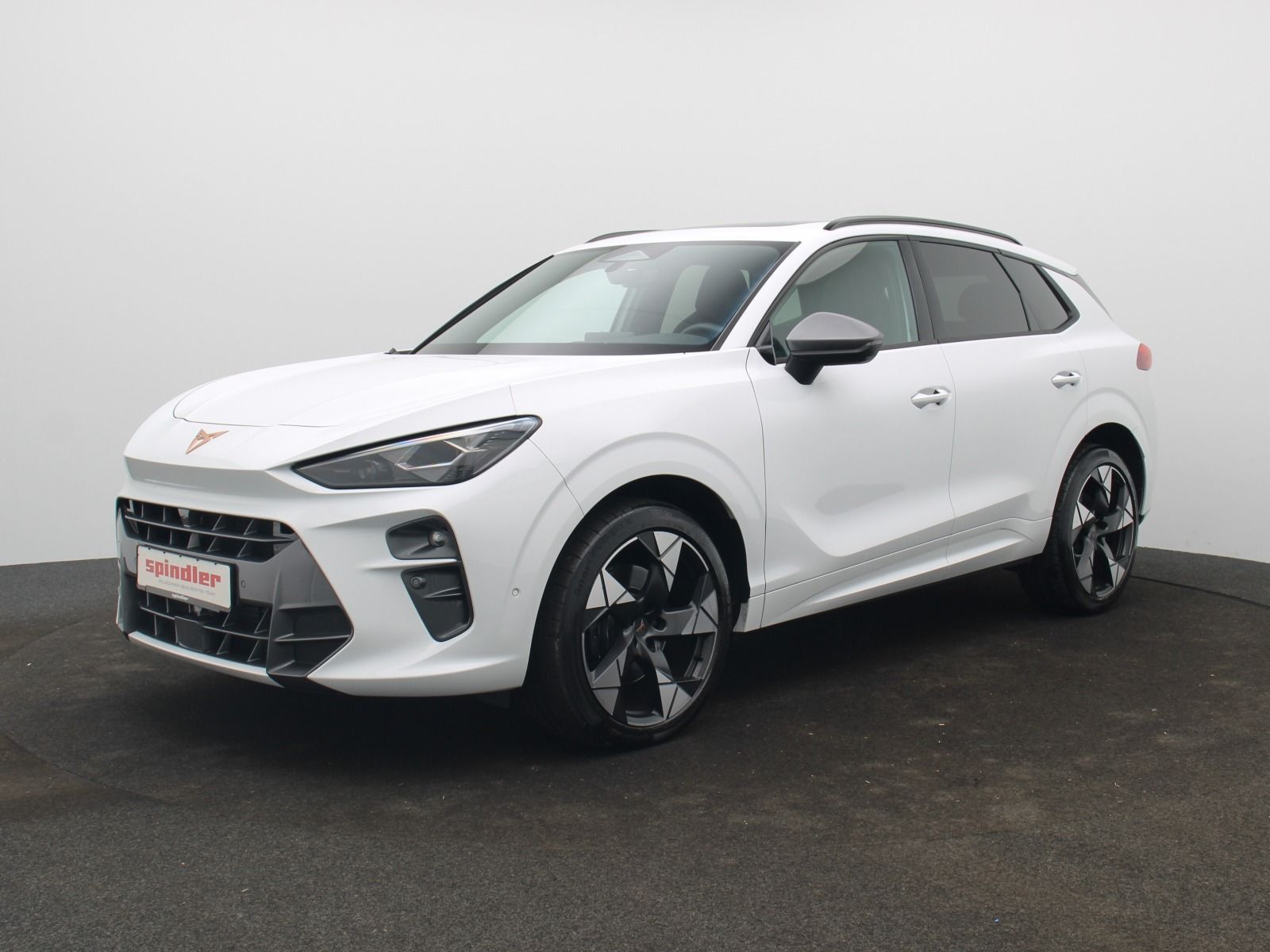 Cupra Terramar - Bild 2