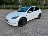 Tesla Model Y Performance Dual Motor AWD Performance