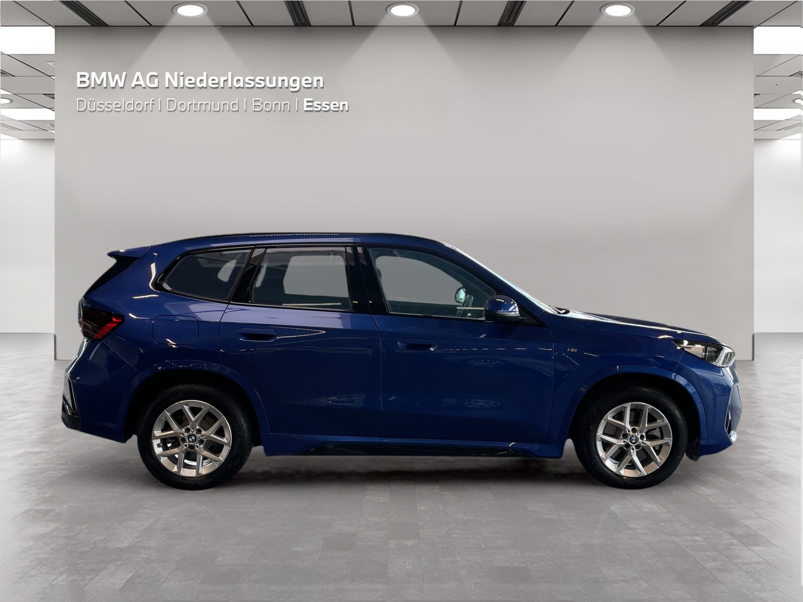 BMW X1 xDrive30e M Sport AHK Driv.Assist.Prof LED foto 8