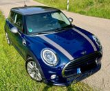 MINI  Cooper Seven Chili PanoramaDa Mfl Teilleder Nav - MINI MINI: Se