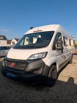 Challenger V114 Max - Verkauf ausschließlich an Händler - Challenger Kastenwagen