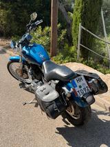 Harley-Davidson XL 1200 Custom (XL1200C)  Vergaser - HARLEY-DAVIDSON 2005