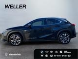 Lexus UX 250h Style Edition *Bi-LED*ACC*CAM*SHZ*CarPla - Lexus UX in Düsseldorf