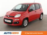 Fiat Panda 1.2 More*PDC*ALU*KLIMA* - Fiat Panda: More