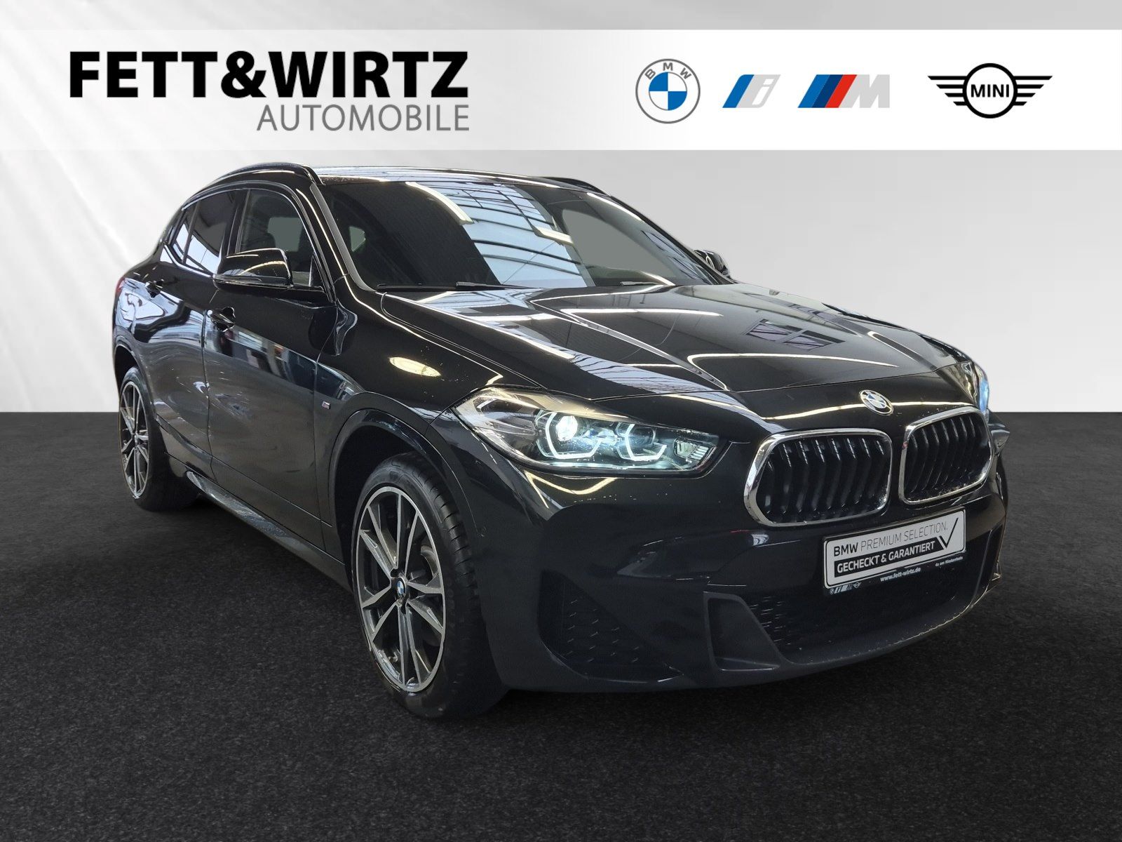BMW X2 xDrive25e M Sport|Head-Up|HiFi|Parkassistent